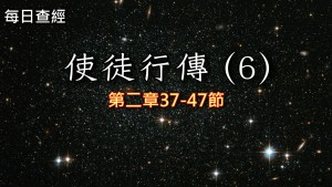 Read more about the article 使徒行傳（6）2:37-47