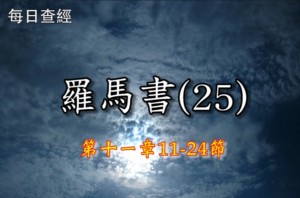 Read more about the article 羅馬書（25）11:11-24