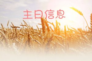 Read more about the article 2018.6.10聖靈的更新-彼此相愛(一)